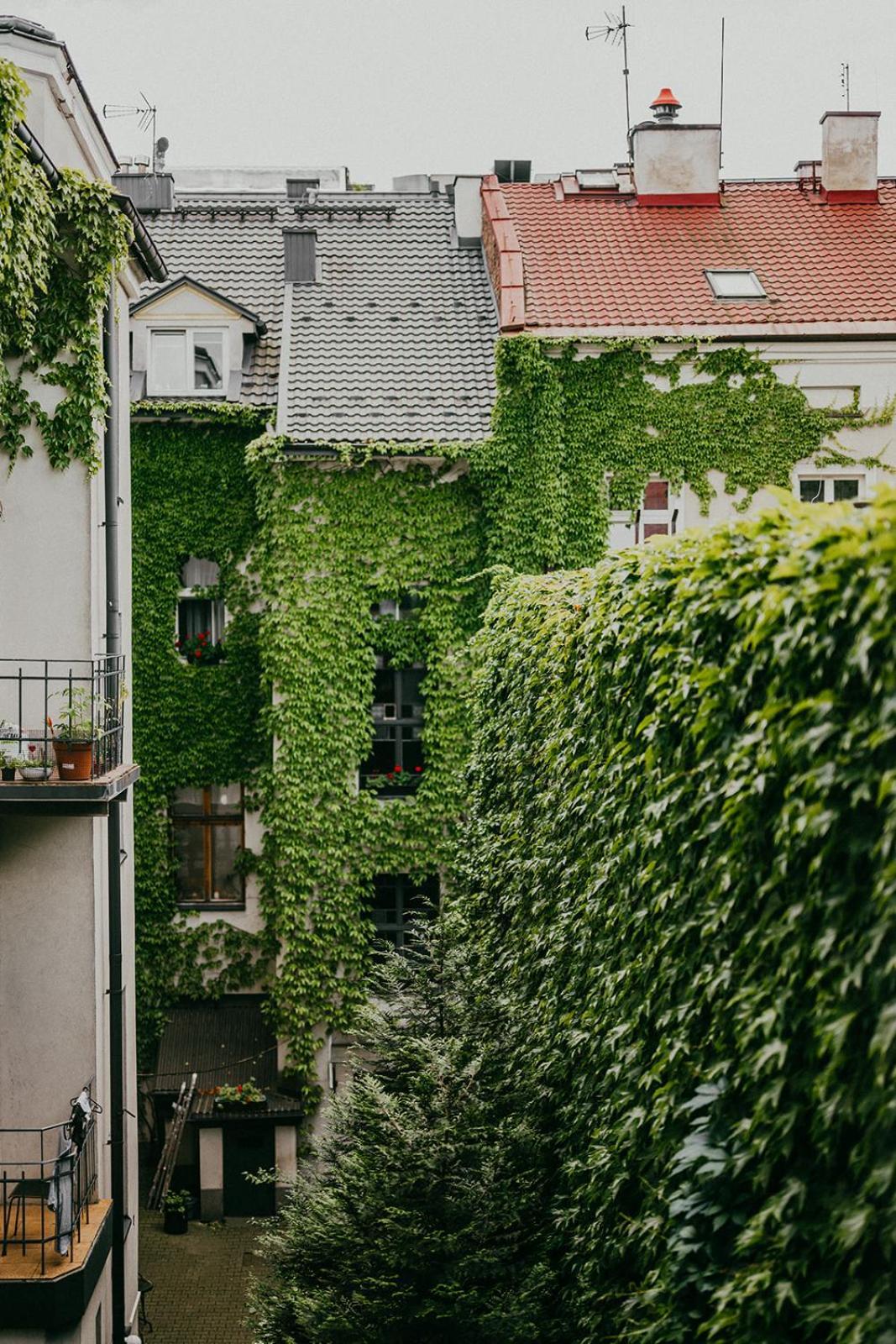 Antique Apartments Old Town Krasków Εξωτερικό φωτογραφία